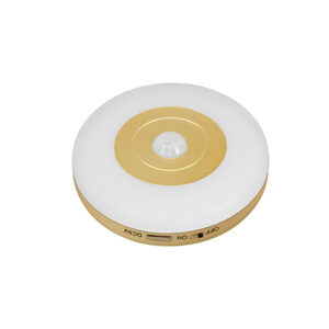 Rechargeable motion sensor light 20894P